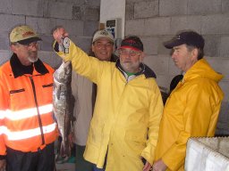 Norwegen 2008 Rundereim